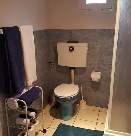 Cabaninha Na Natureza